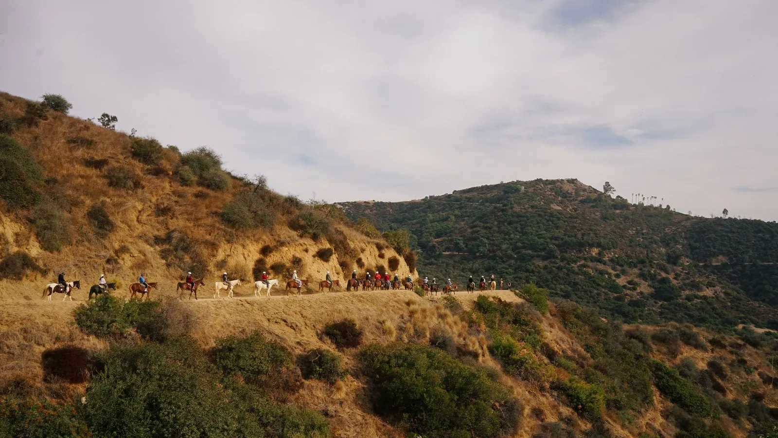 Horseback riding scene