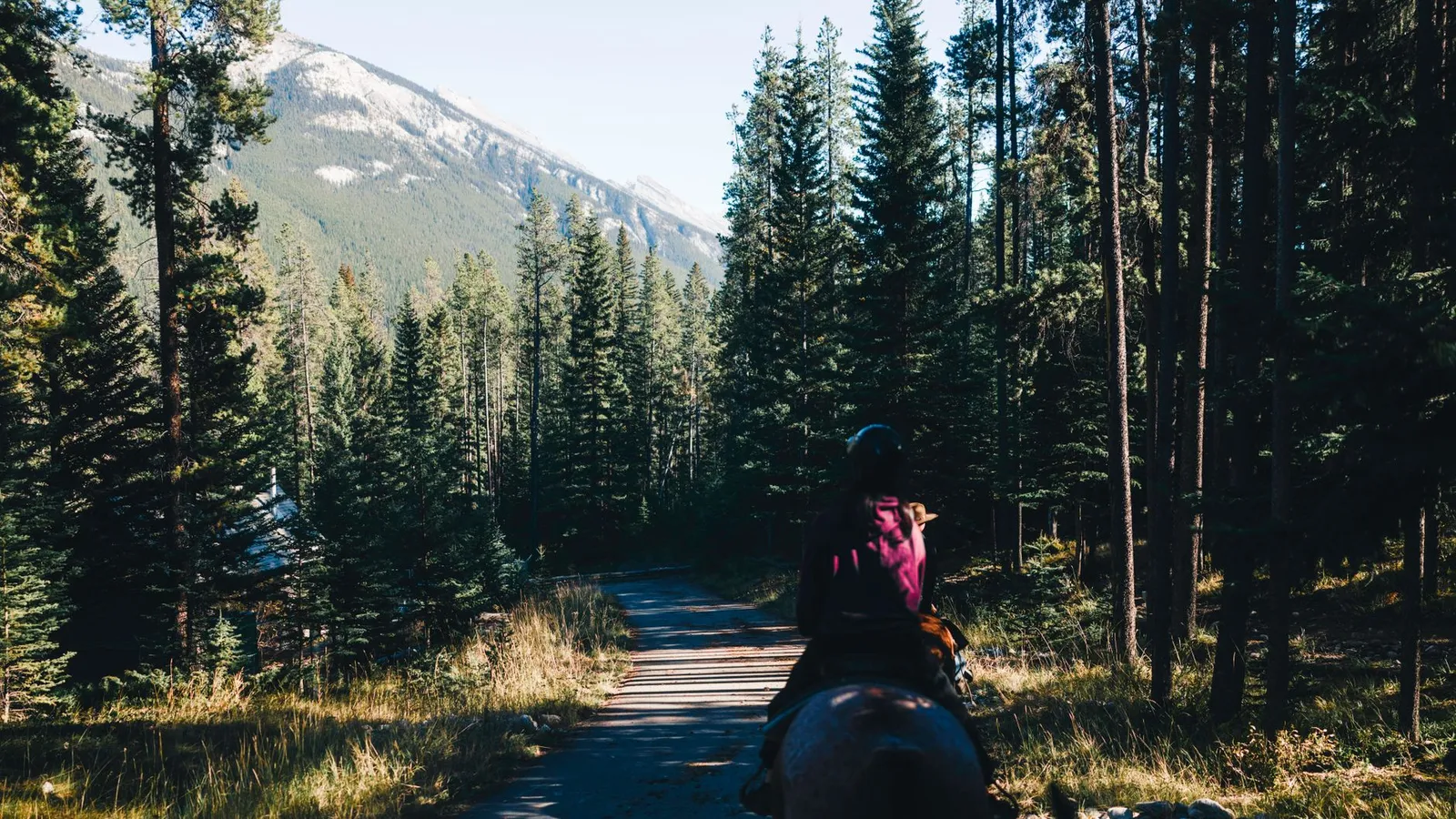 Outdoor activities (ohv trails, horseback riding, camping) scene