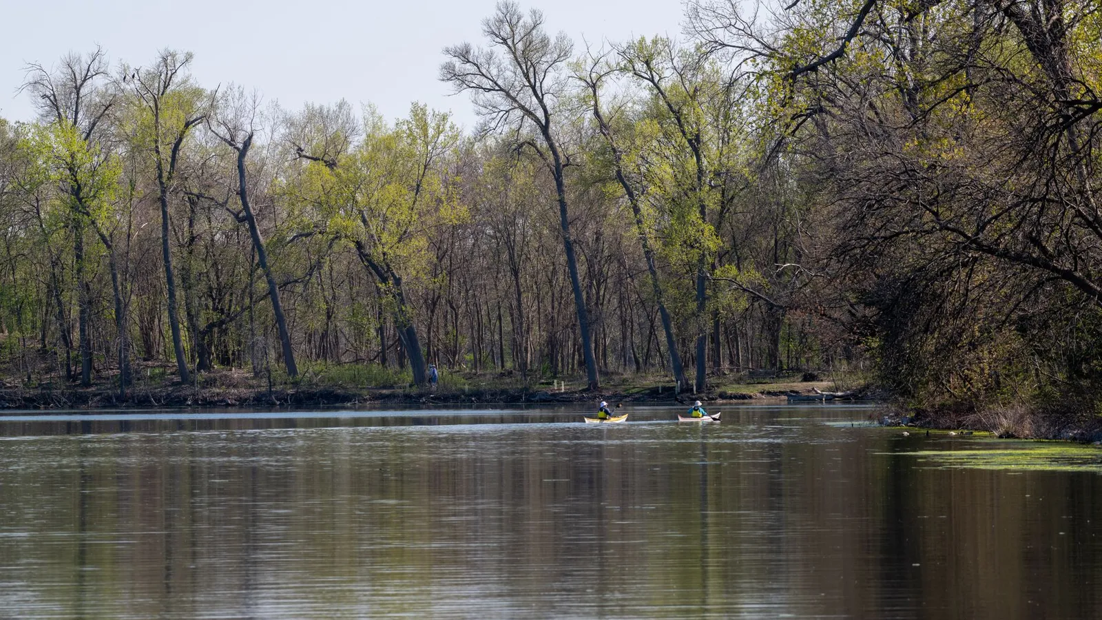 Two kayakers paddle through a tranquil forest lake, reflecting trees and a clear sky.