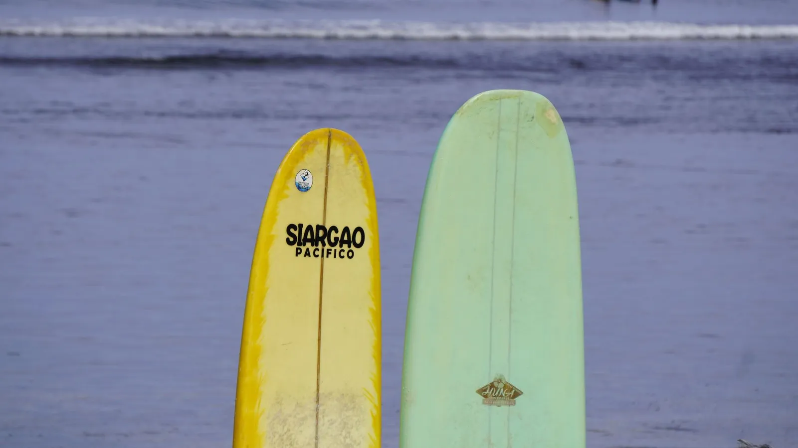 Summer Sessions Surf — category photo