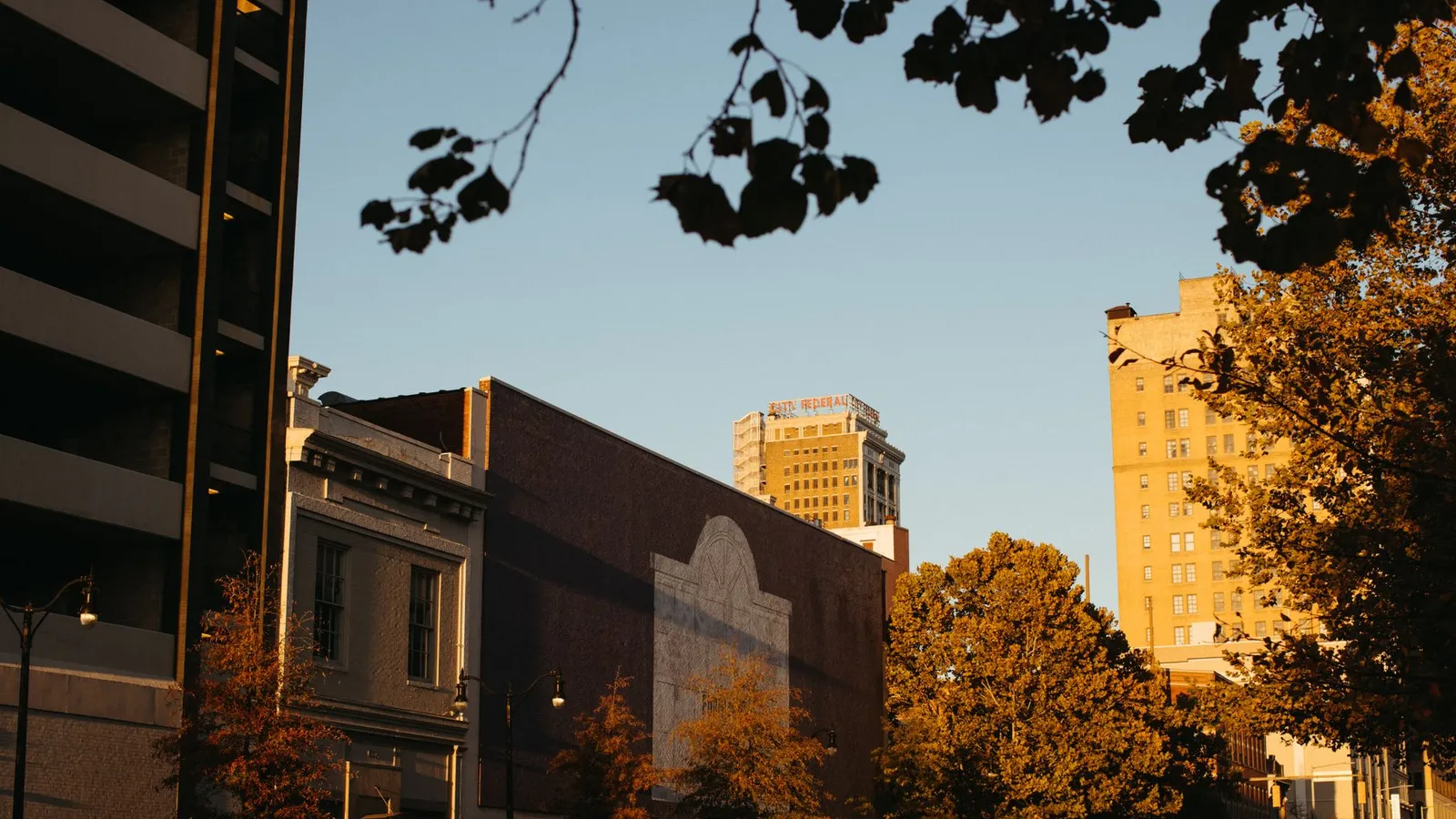 A calm downtown street scene with buildings and autumn trees under warm sunlight.