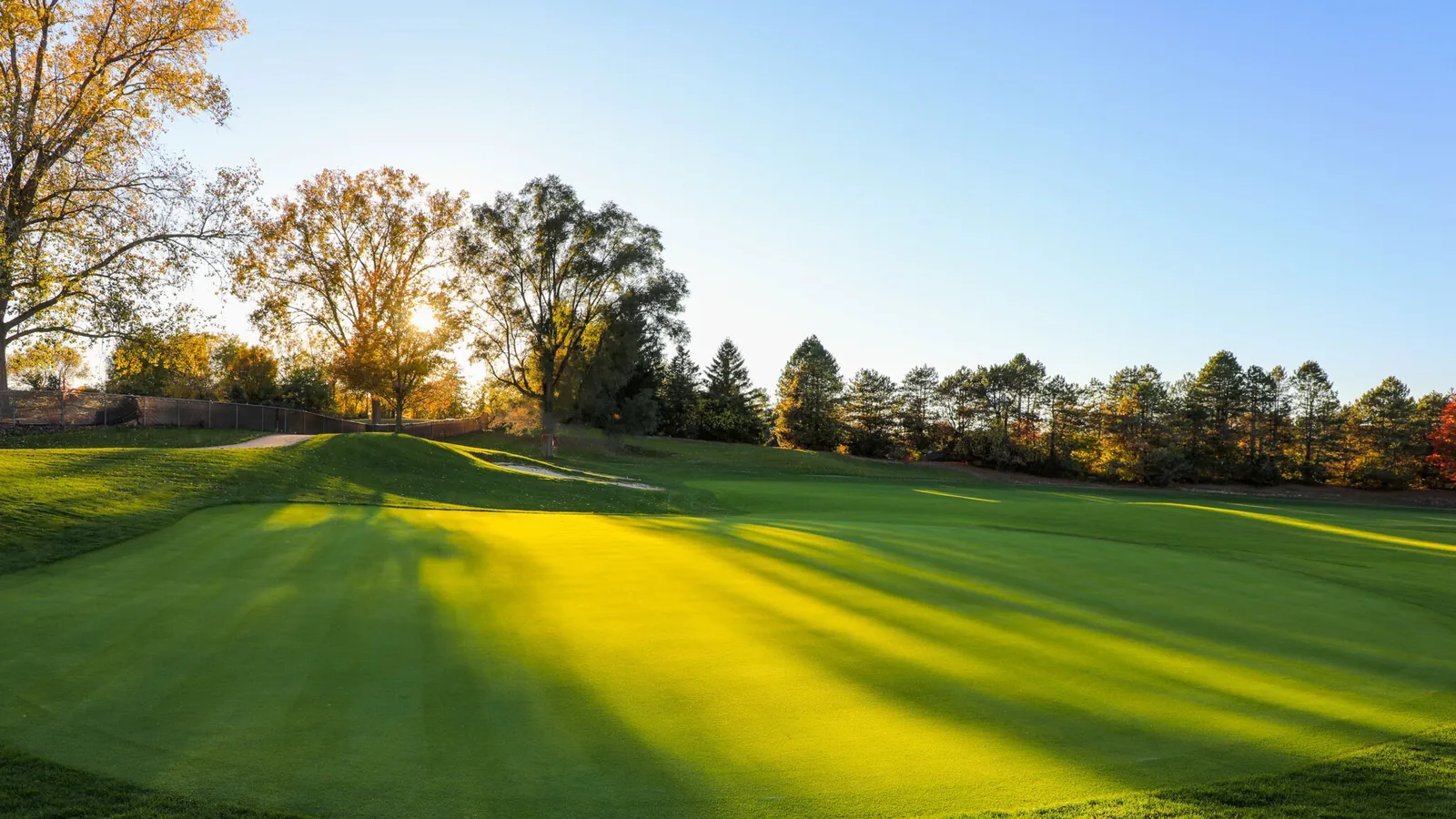 Pine Trace Golf Club — hero image