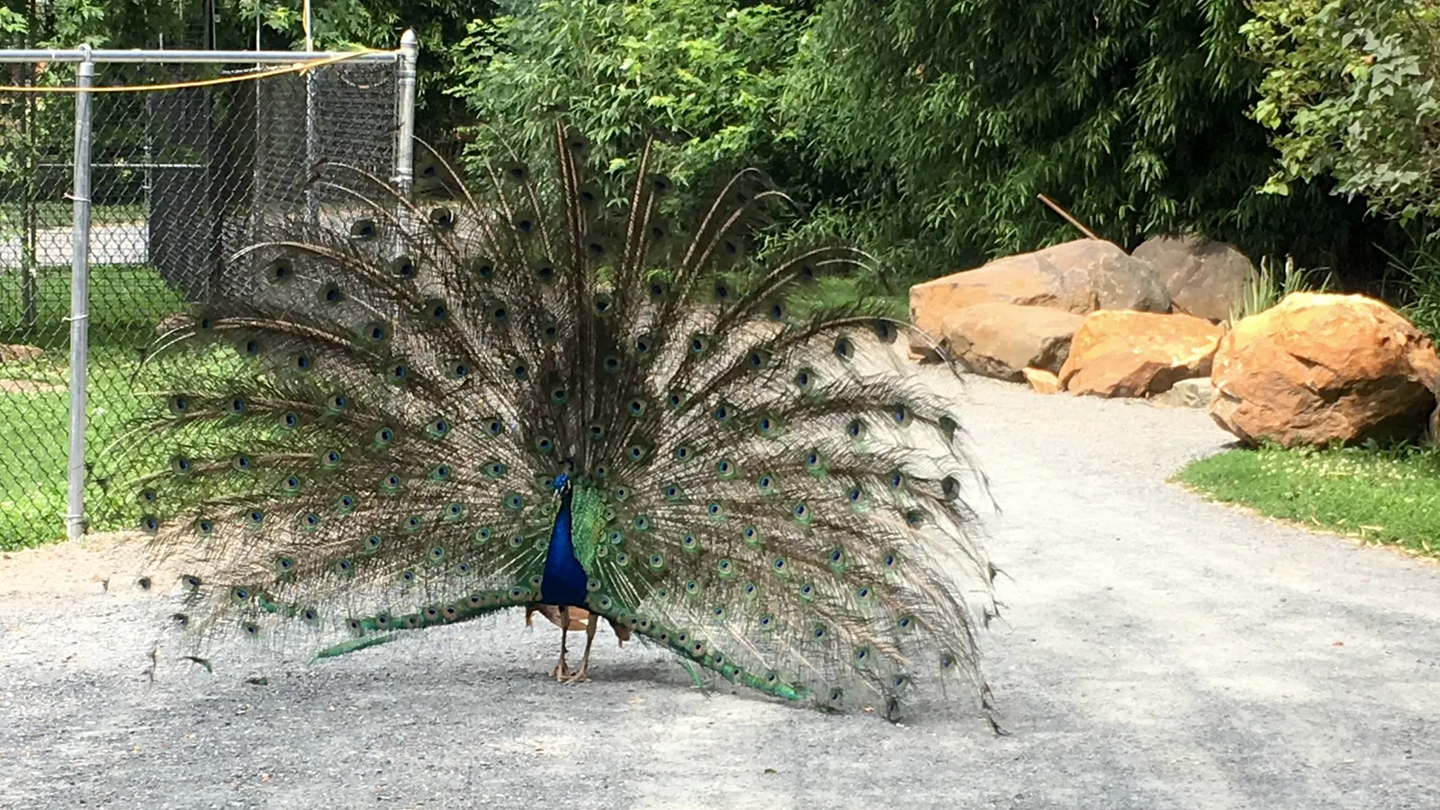 Plumpton Park Zoo — hero image