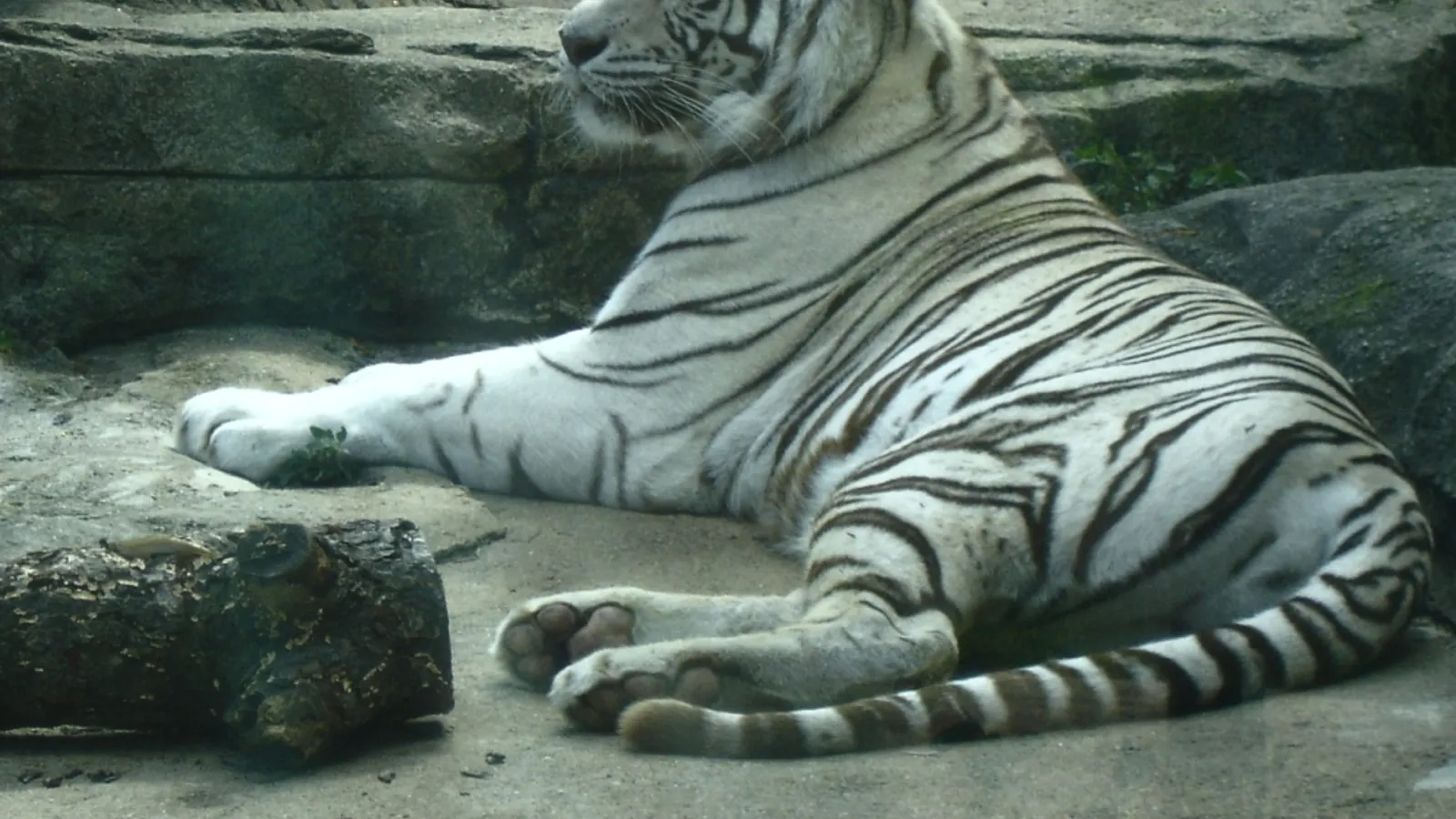 Potawatomi Zoo — hero image