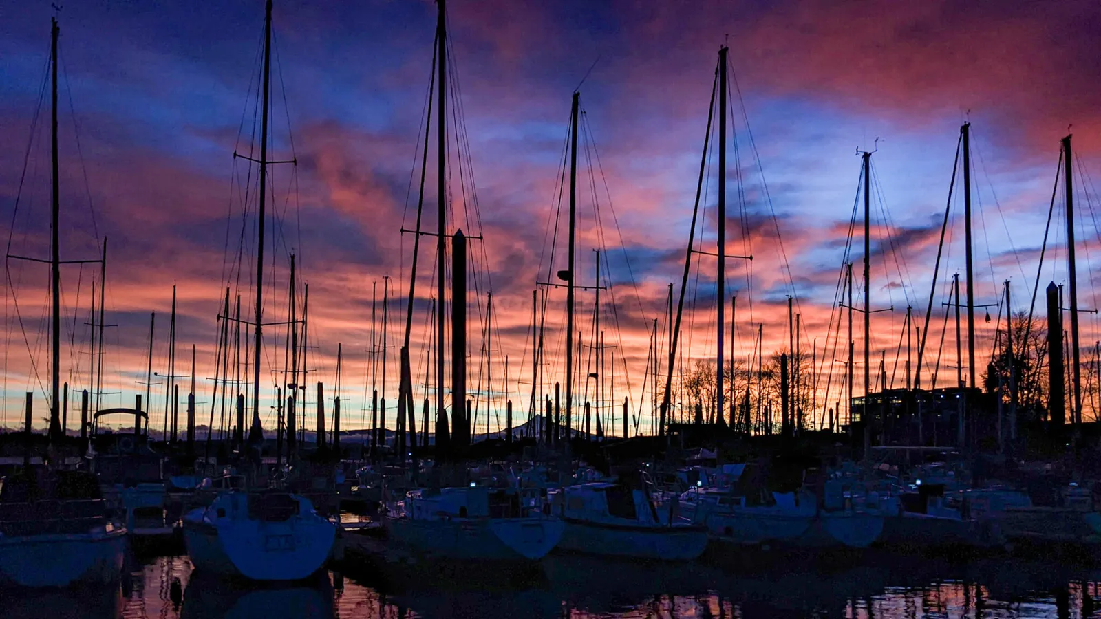 Rose City Yacht Club — hero image