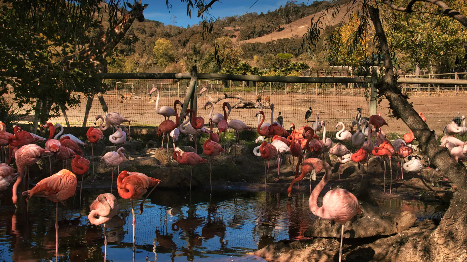 Safari West — hero image
