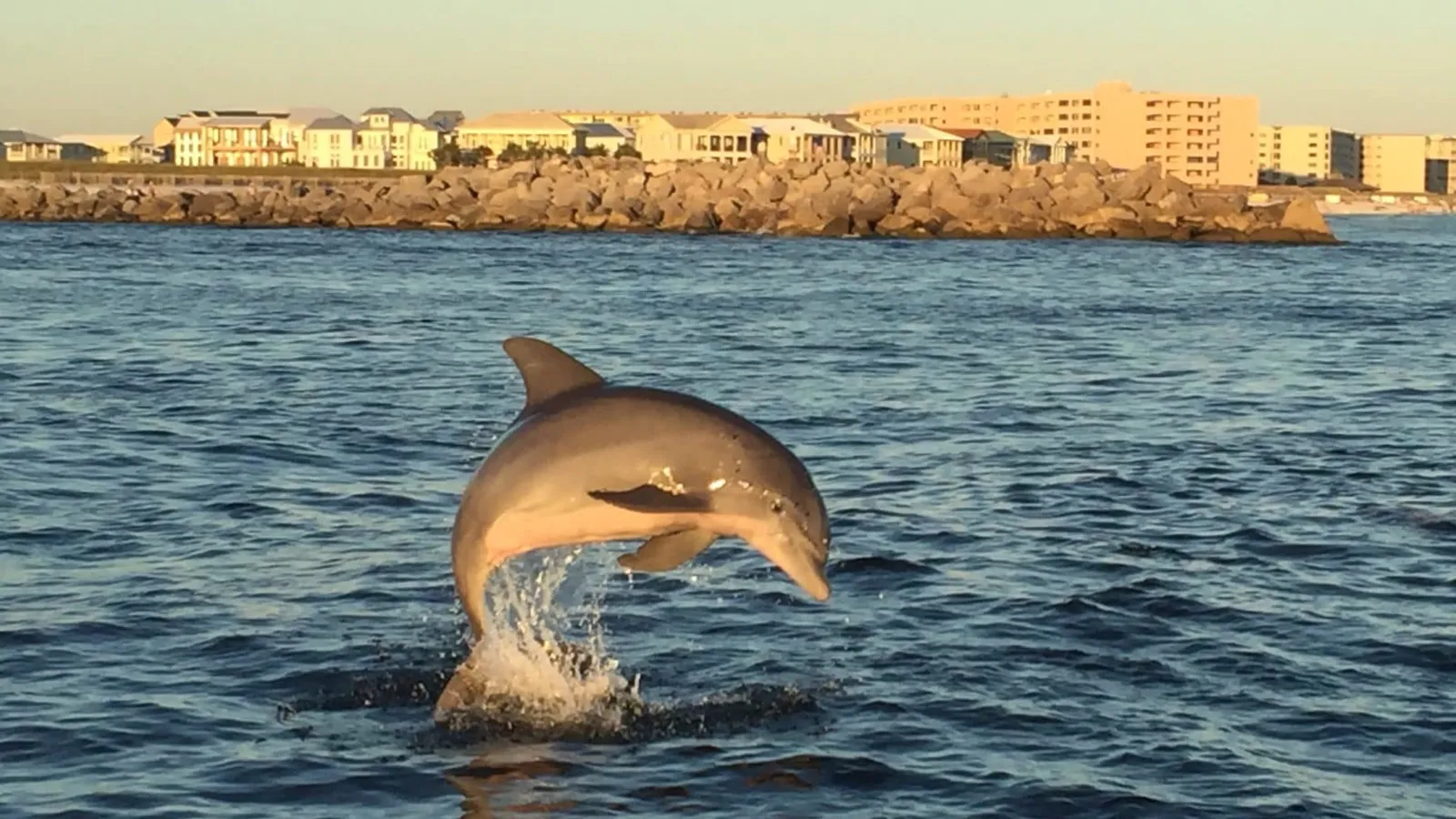 Sail Away Destin — hero image