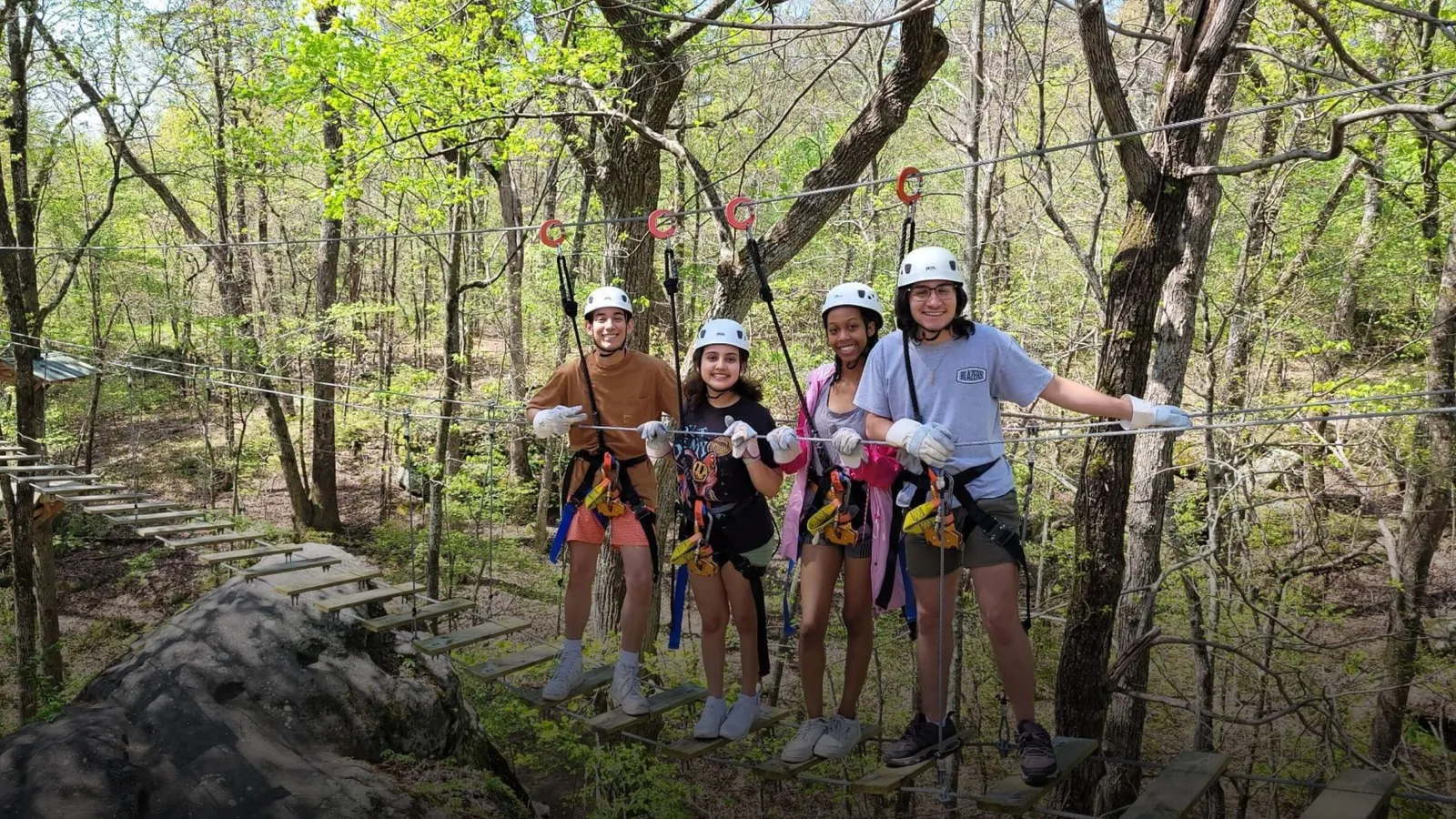 Screaming Eagle Aerial Adventures at DeSoto State Park — hero image