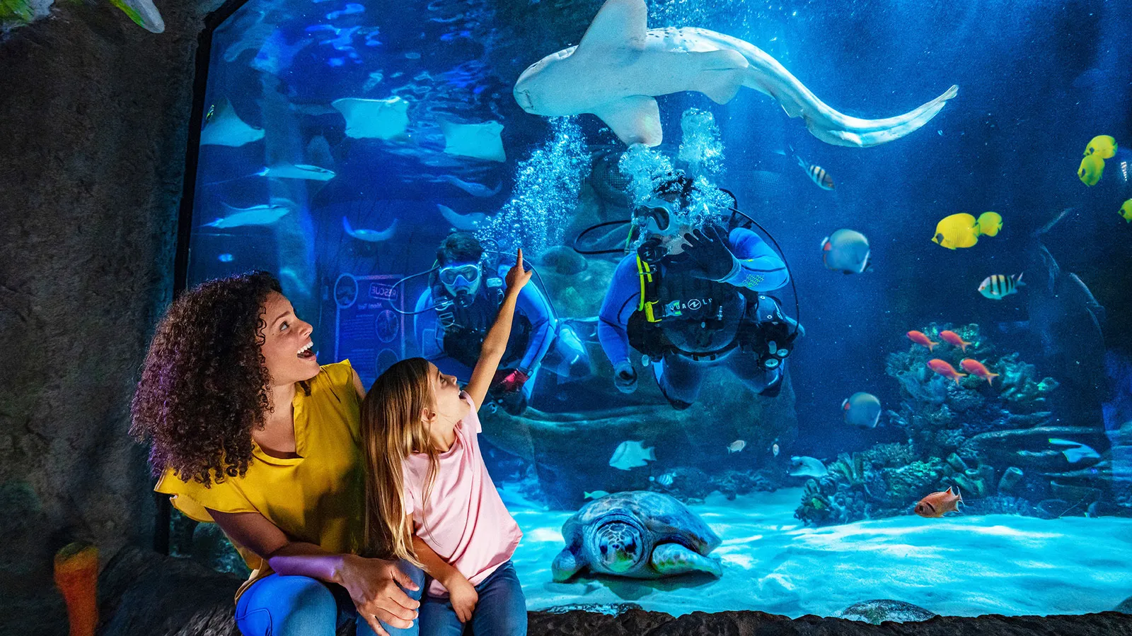SEA LIFE Minnesota Aquarium — hero image