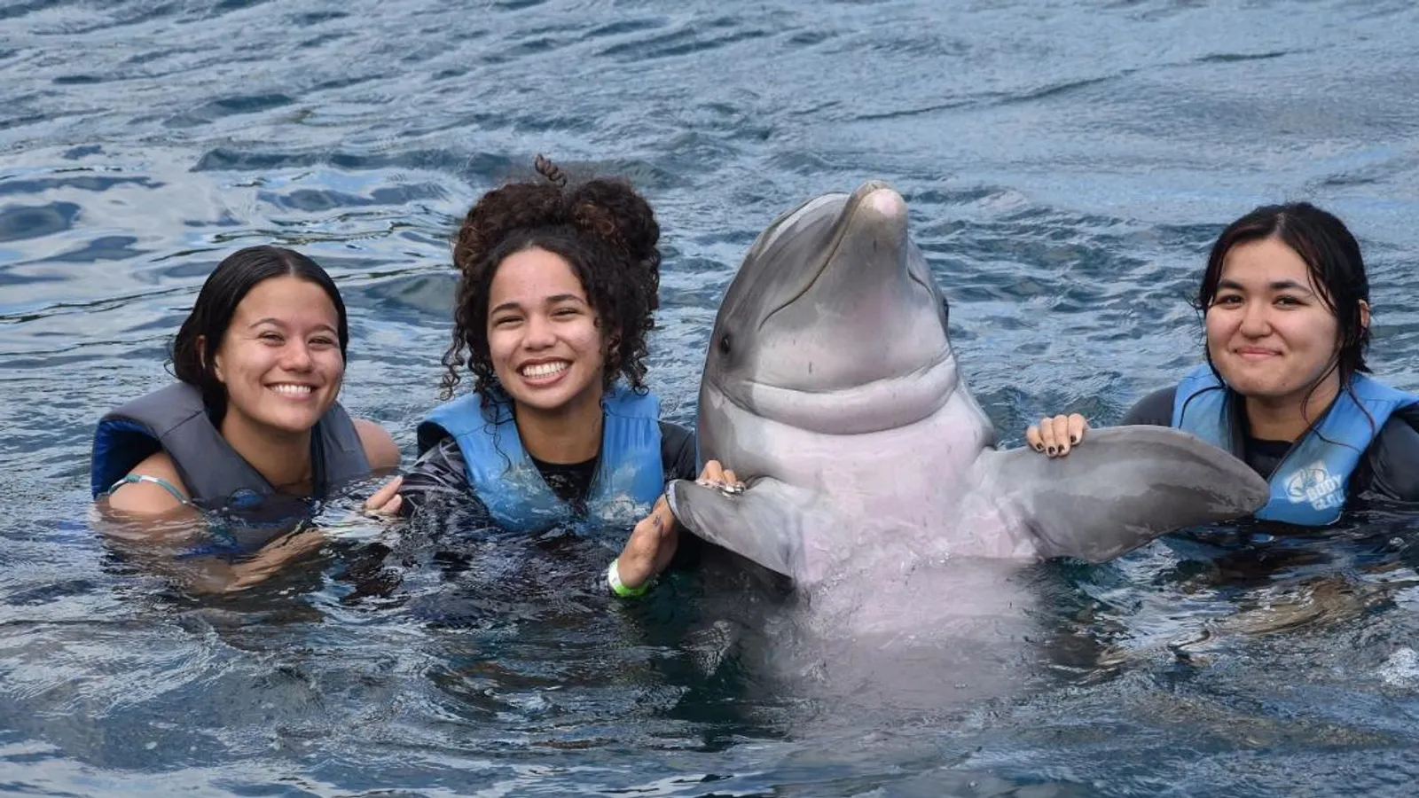Sea Life Park — hero image