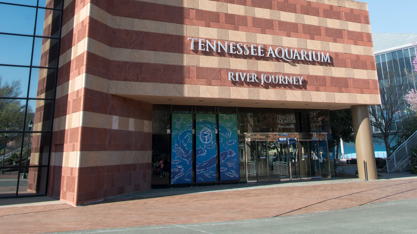 Tennessee Aquarium — hero image