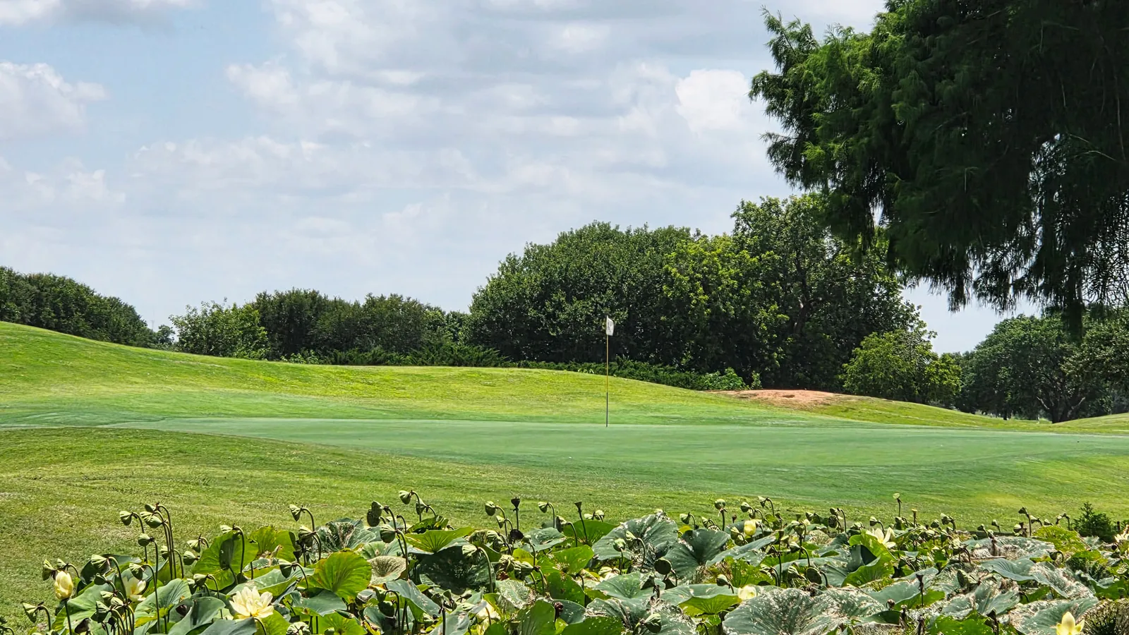 The Champions Course at Weeks Park — hero image