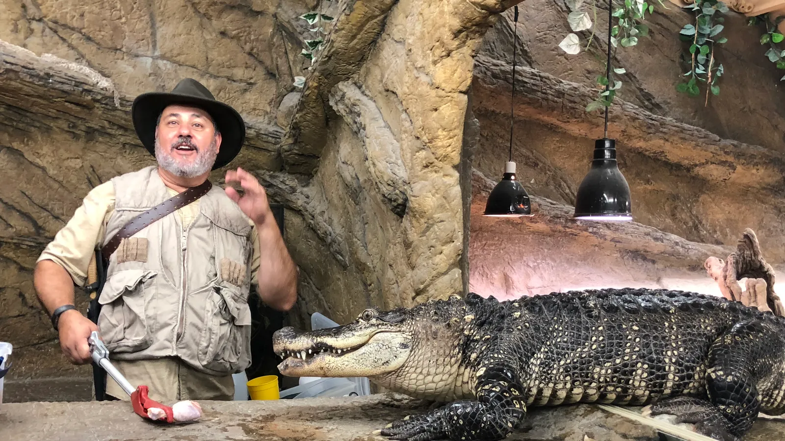 The Reptile Zoo — hero image