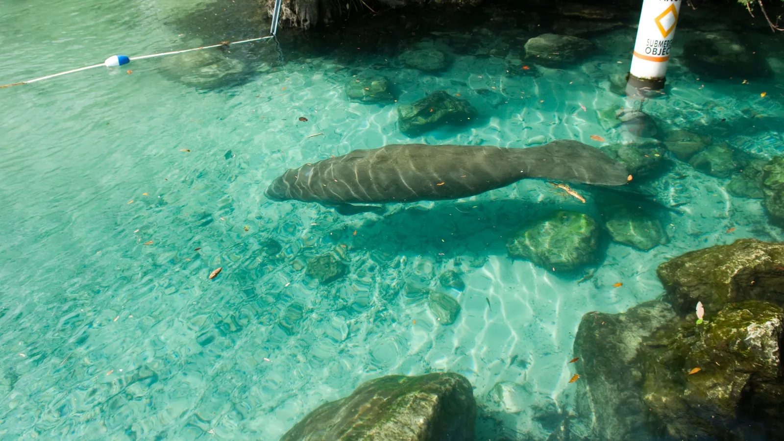 Three Sisters Springs — hero image