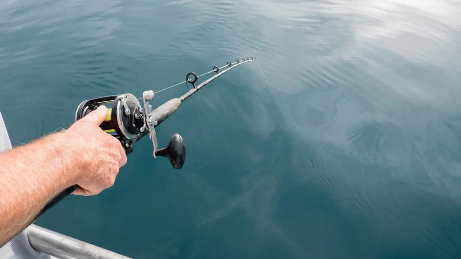 Tideline Charters — hero image