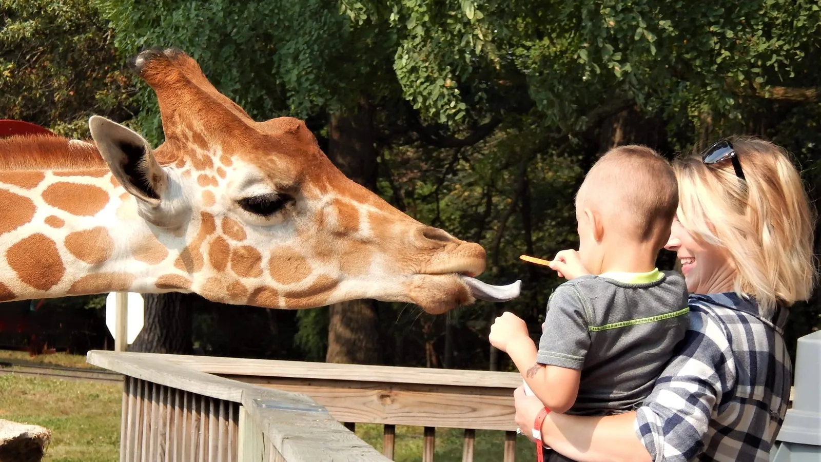 Timbavati Wildlife Park — hero image