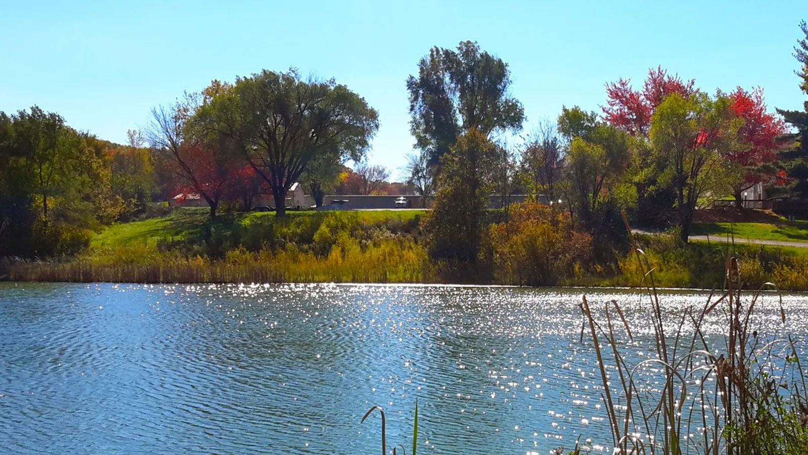 Timber Lake Club — hero image