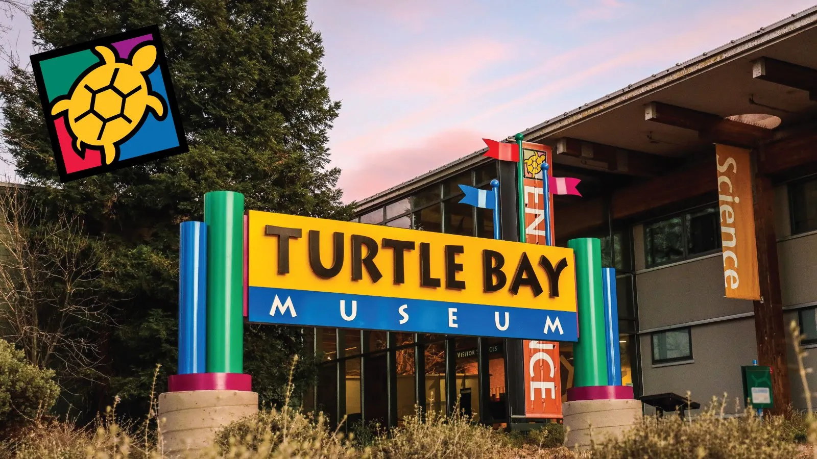 Turtle Bay Museum — hero image