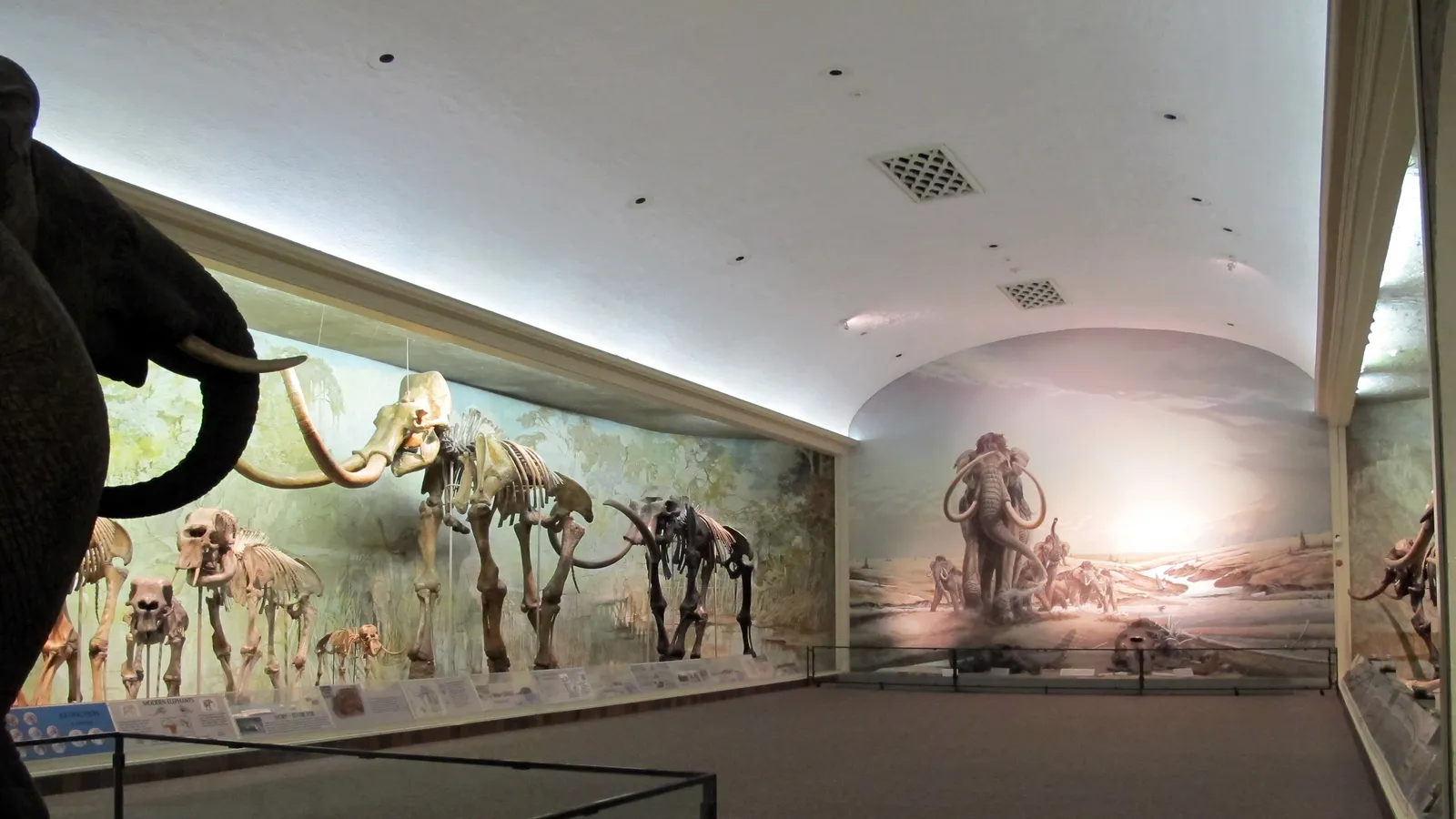 University of Nebraska State Museum — hero image