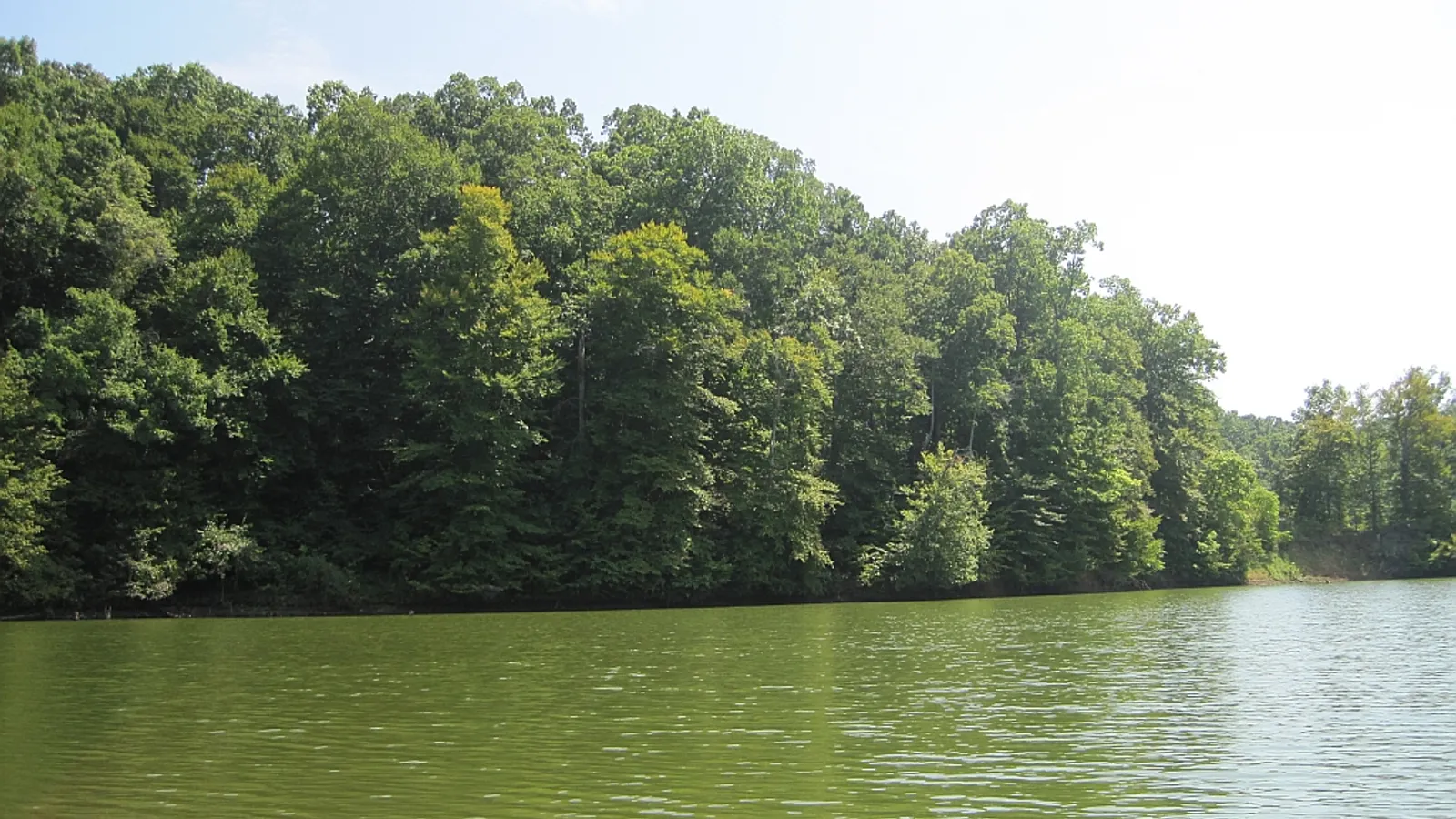 Village Creek State Park — hero image