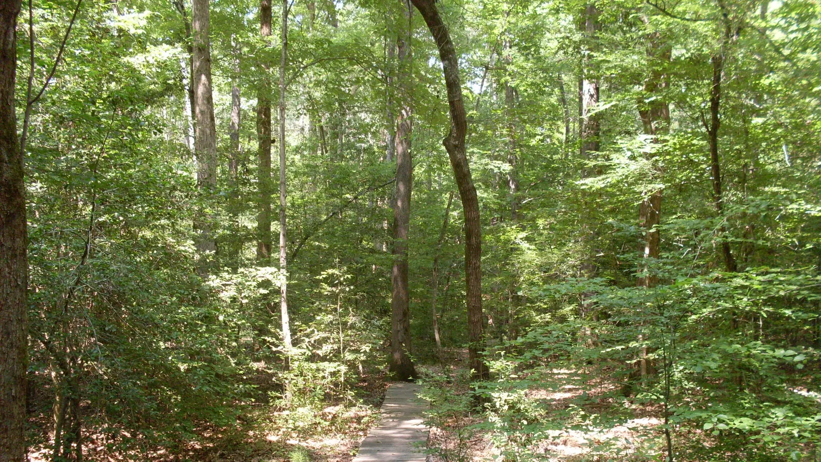 White Oak Lake State Park — hero image