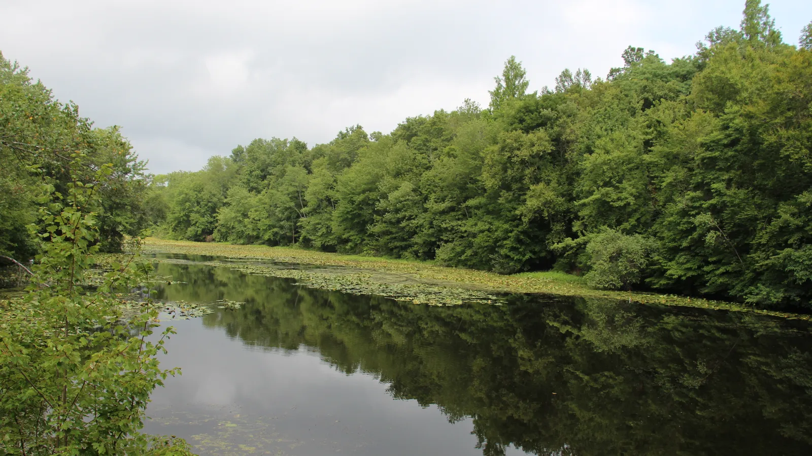 Woodcock Nature Center — hero image