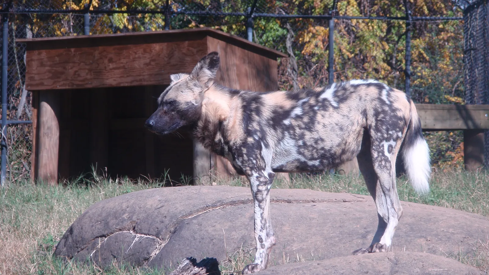 Zoo Knoxville — hero image
