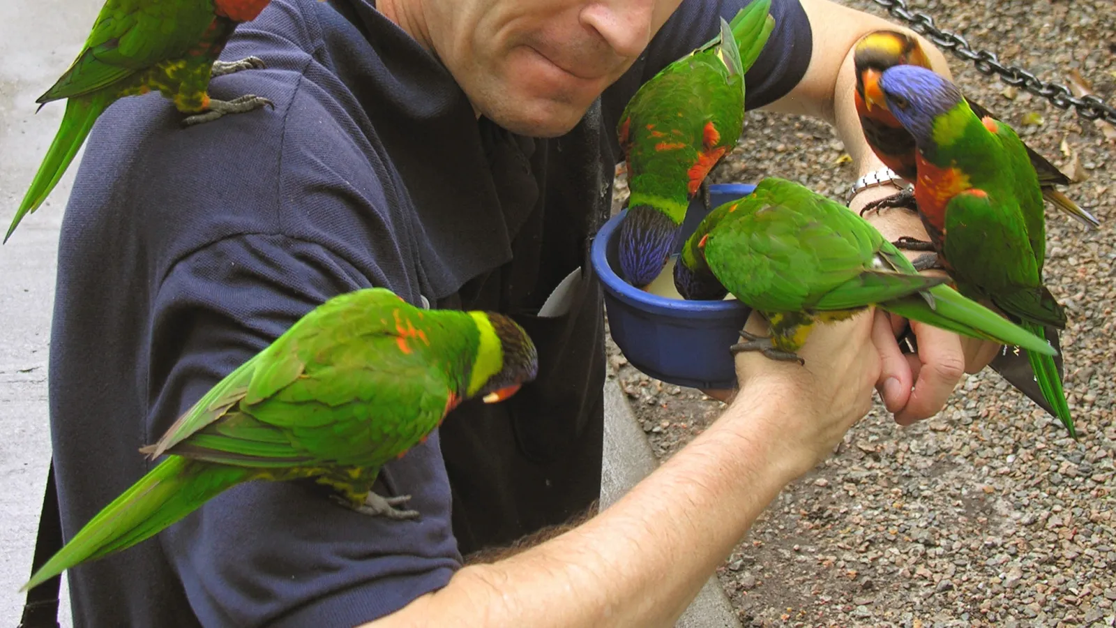 ZooTampa at Lowry Park — hero image
