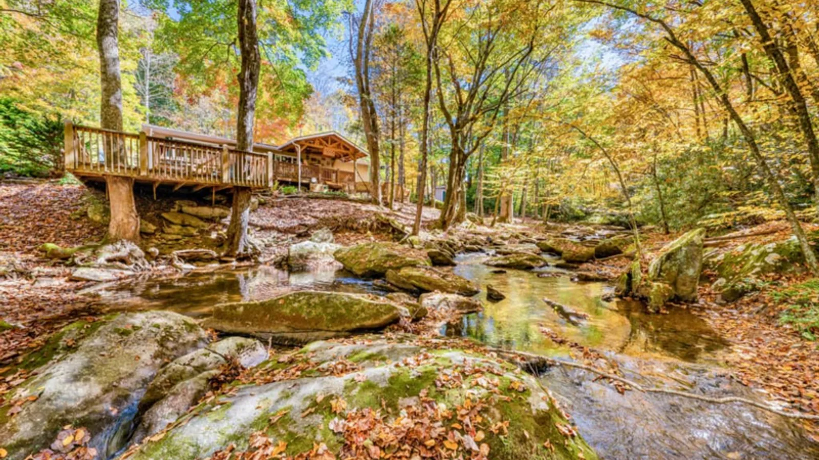 Moody Creek Cottage — primary photo