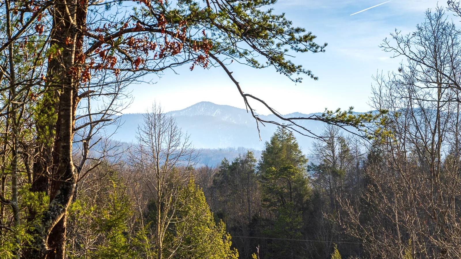 Trail — primary photo