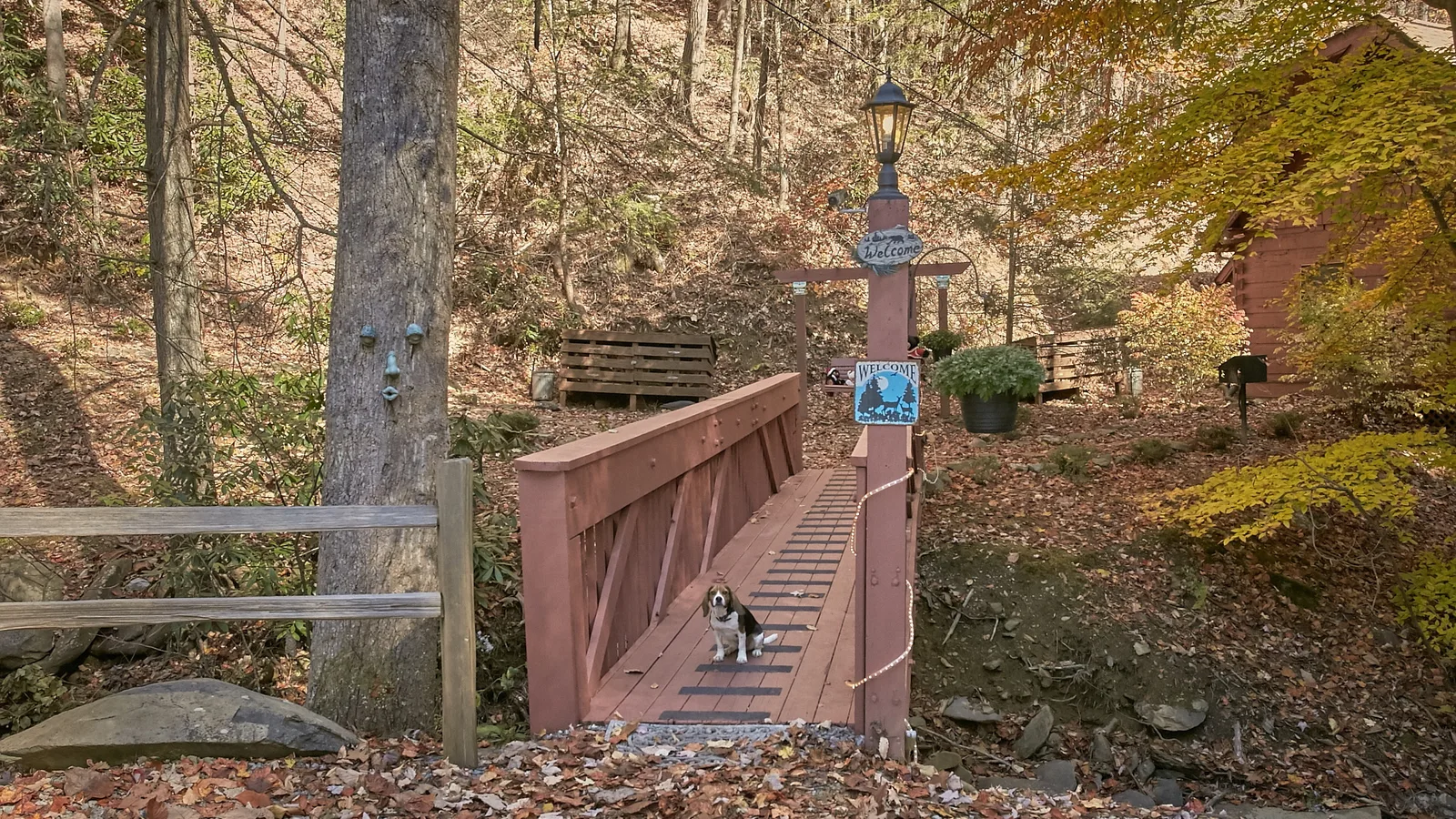 Cozy Creek — primary photo